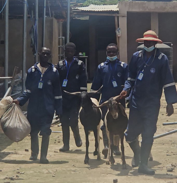 Animal Sales