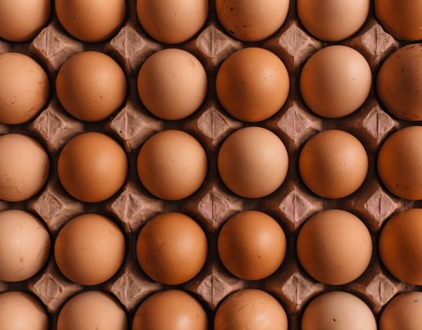 Egg Production